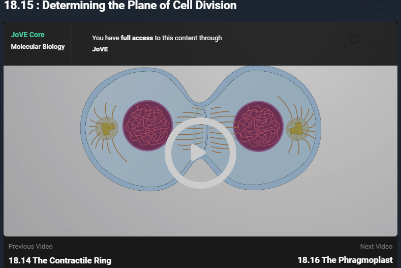 Cell Cycle and Cell Division Biology Videos jove