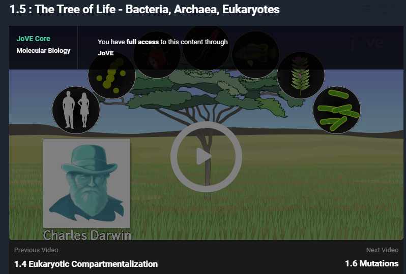 2-The Tree of Life - Bacteria, Archaea, Eukaryotes - Jove