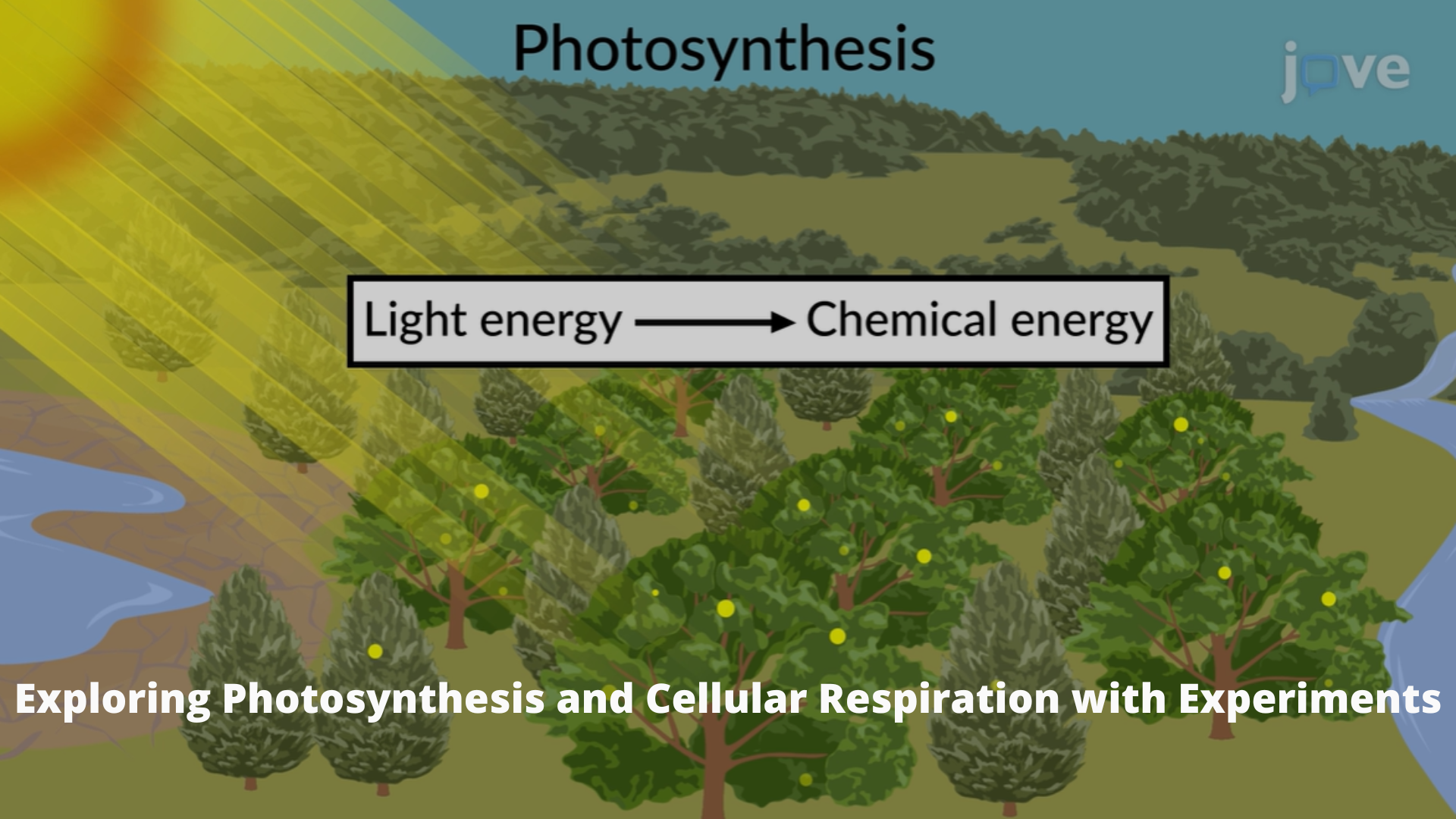 Exploring Photosynthesis and Cellular Respiration with Experiments