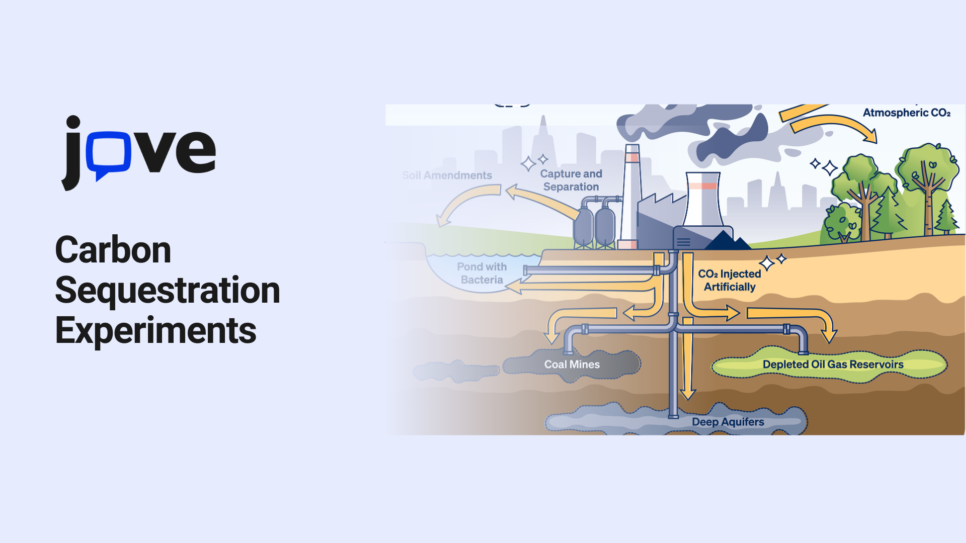 Studying Carbon Sequestration and CO₂ Uptake in Plants