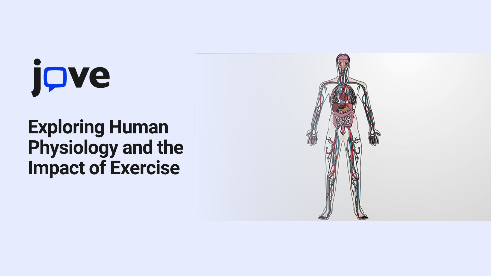 Exploring Human Physiology and the Impact of Exercise