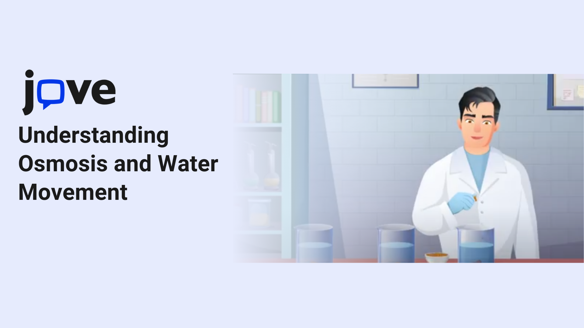 Understanding Osmosis and Water Movement Through Simple Experiments