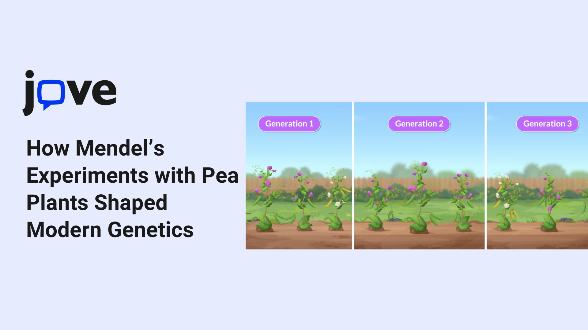 How Mendel’s Experiments with Pea Plants Shaped Modern Genetics