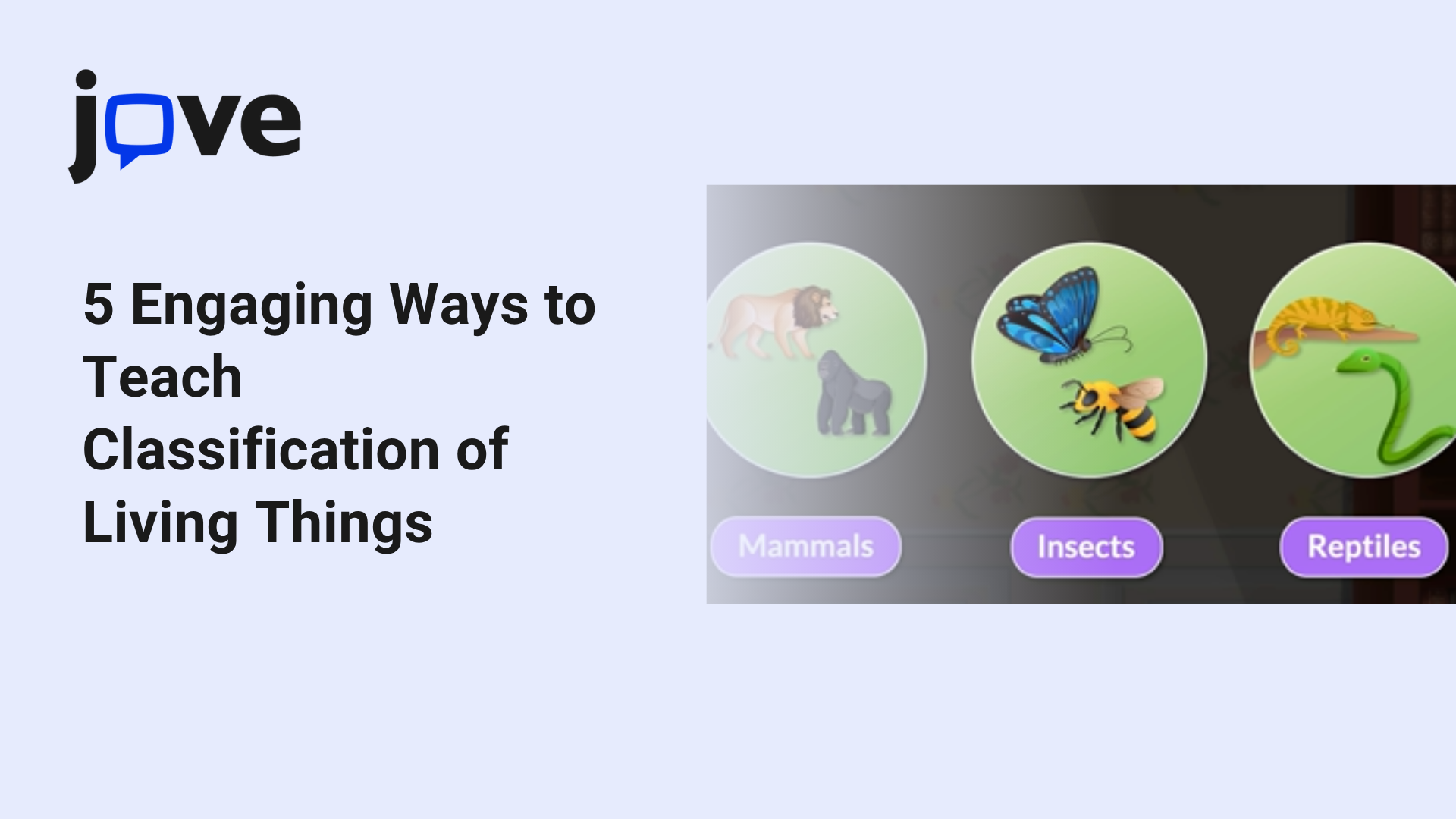 Engaging Ways to Teach Classification of Living Things