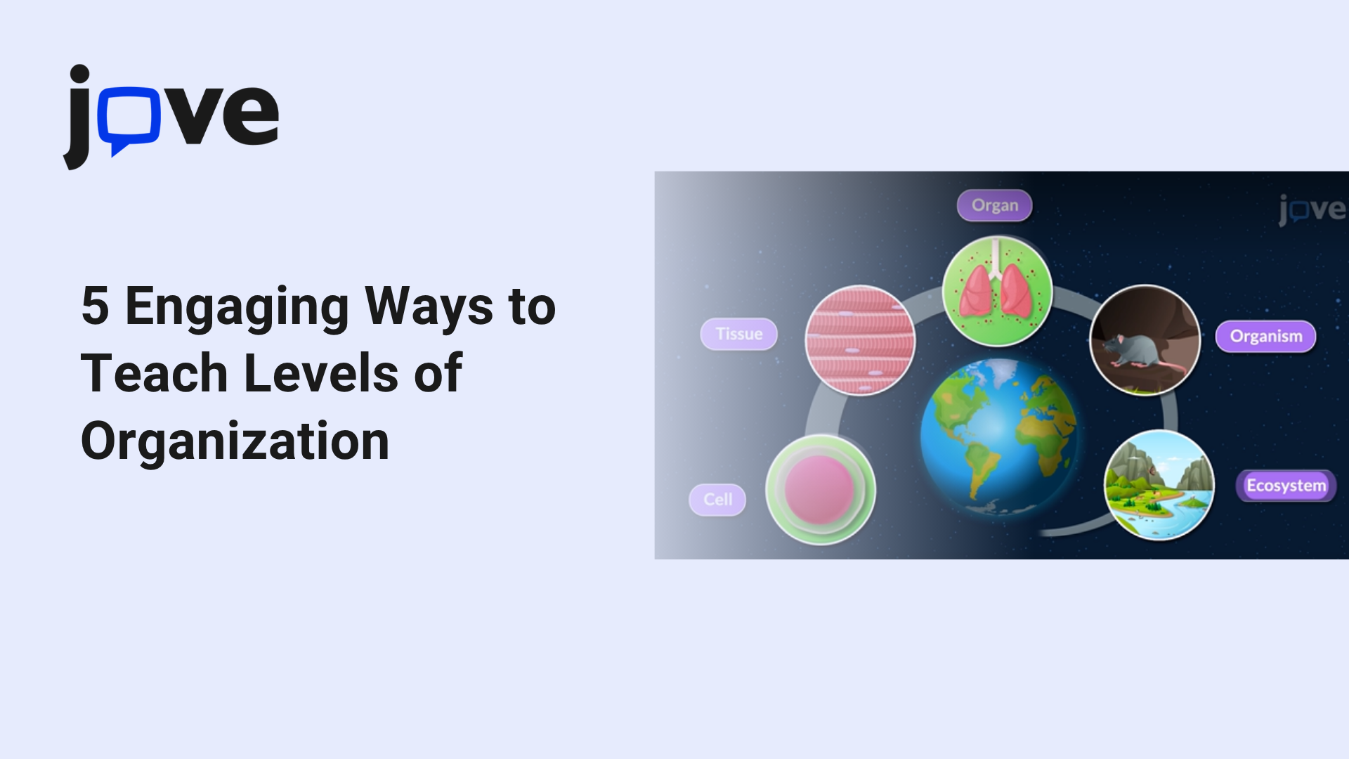Teaching Levels of Organization in Middle School